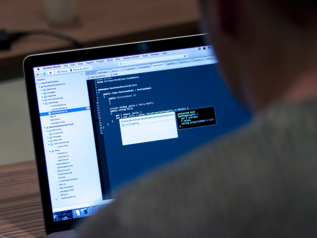 web developer